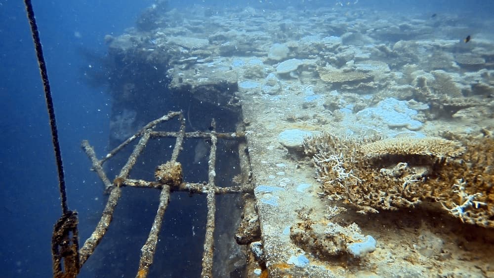 Sea Star Diving - View 8