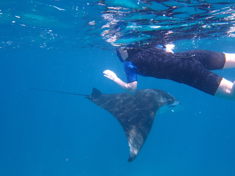 Ukulhas Beach Inn - View 74