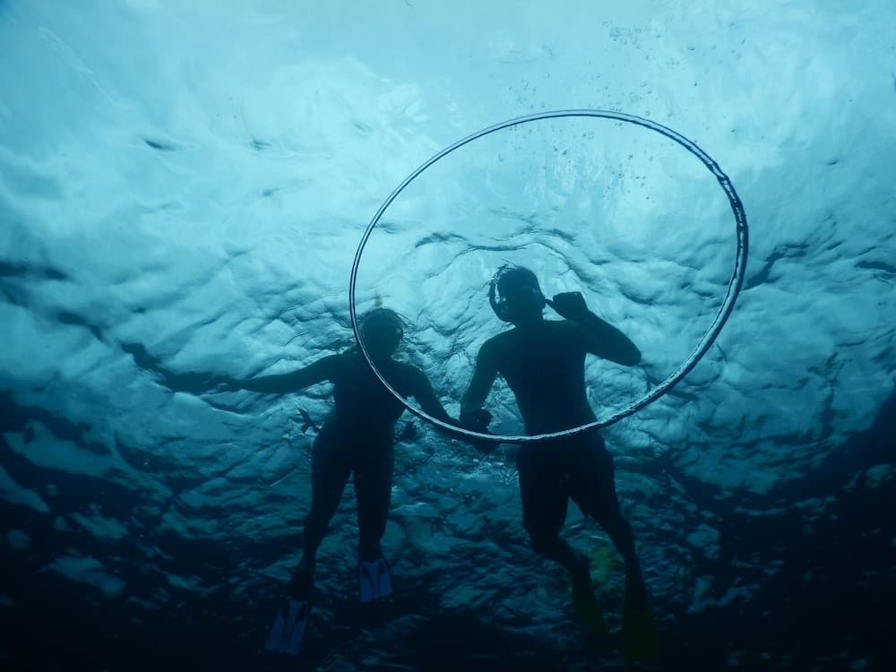 Equa Reef Maldives - View 39