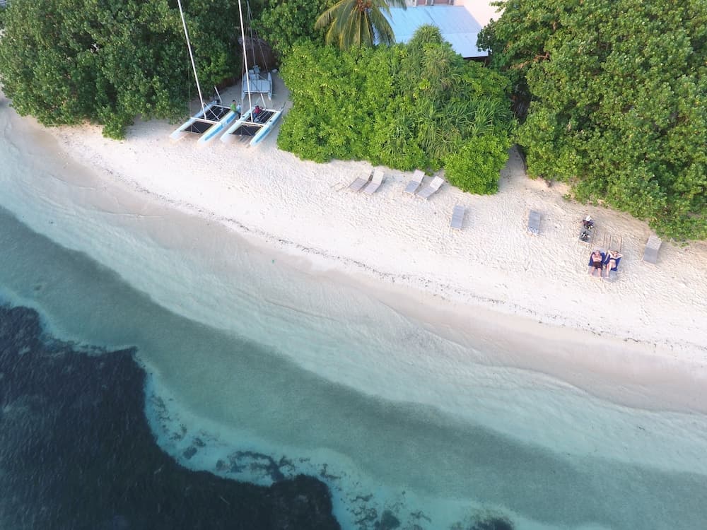 Palm Residence - View 53