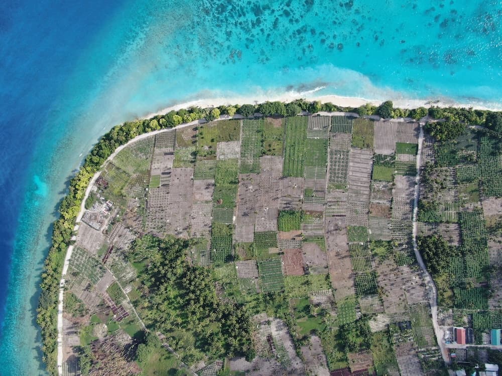 Thila Farm View Guest House - View 42