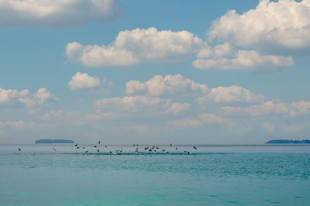 Hide Inn Blue - View 43