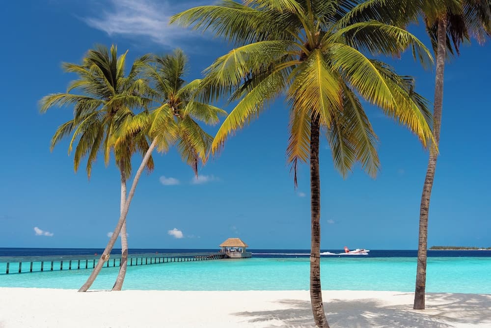 Baglioni Resort Maldives Luxury All Inclusive - LHW - View 133