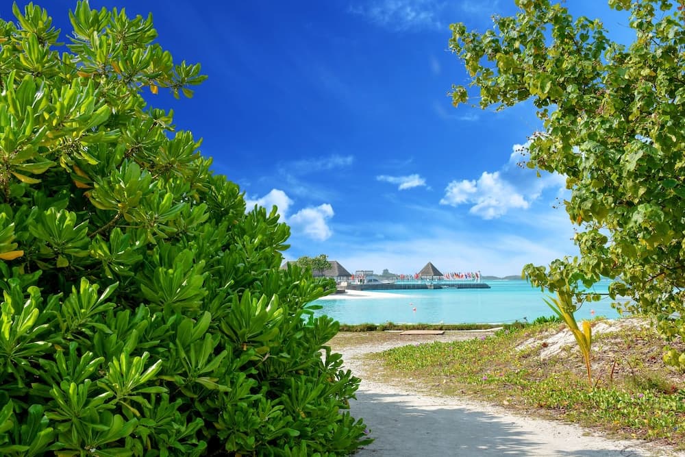 Maldives Seashine Guesthouse - View 7