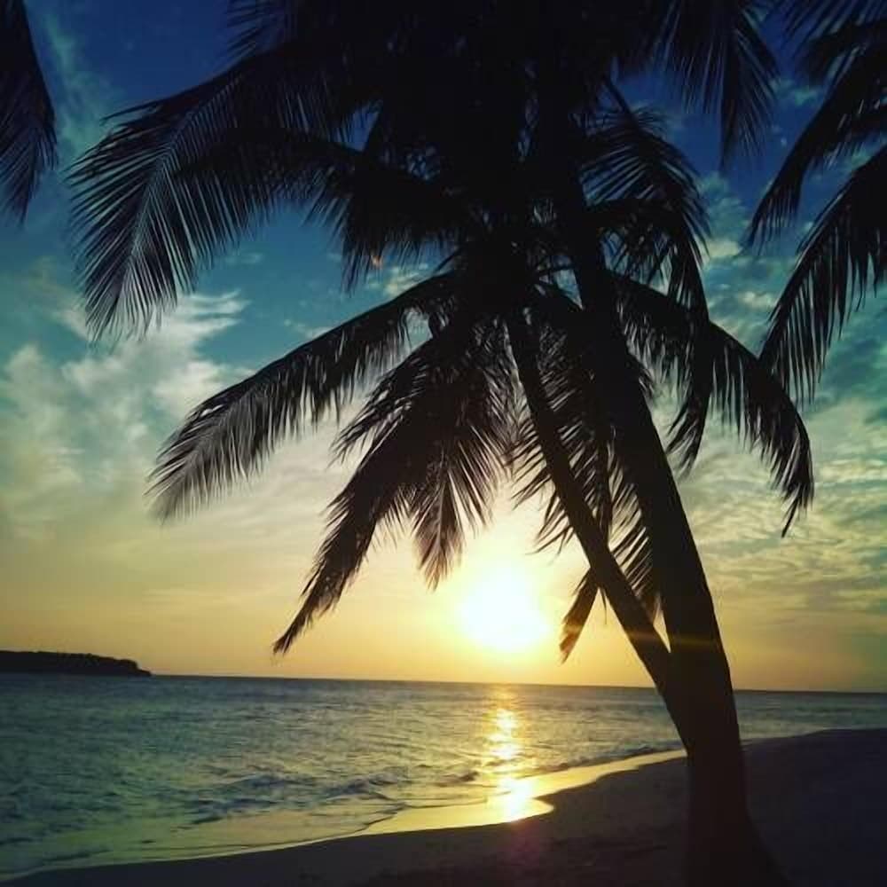 Moonshell Residence - View 11