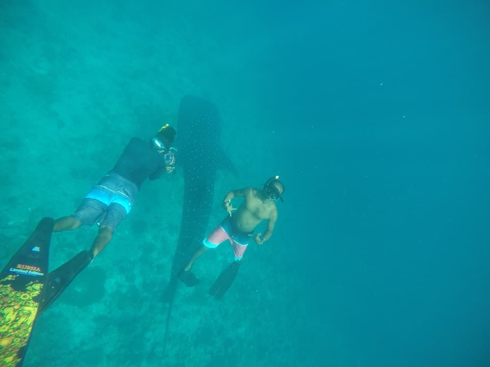 Royal Inn Rasdhoo - View 18