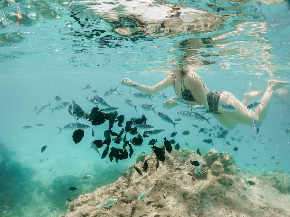 Royal Inn Rasdhoo - View 16