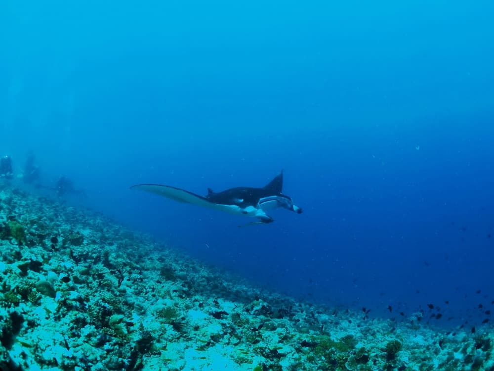 Adroit Beach Inn - View 165