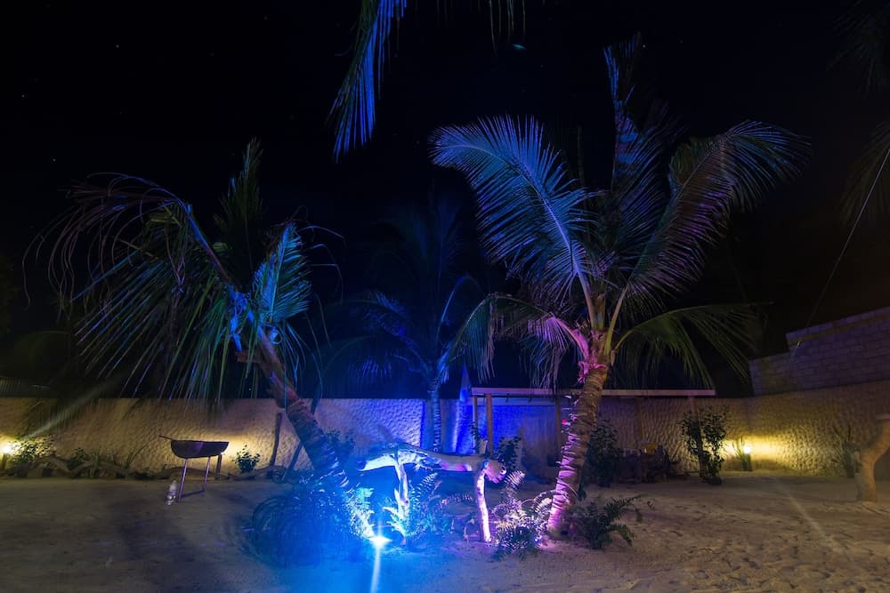 Dream Coral - View 4