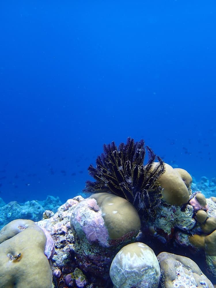 Wunderbar Inn - View 11