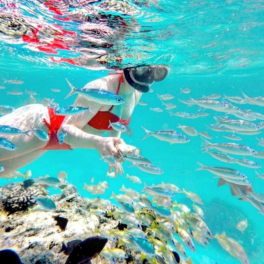 Belvedere Thoddoo - View 54