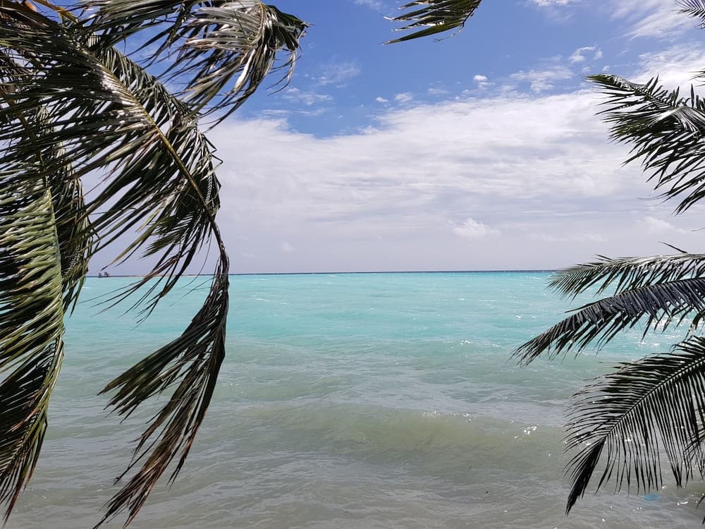 Island Guest - View 47