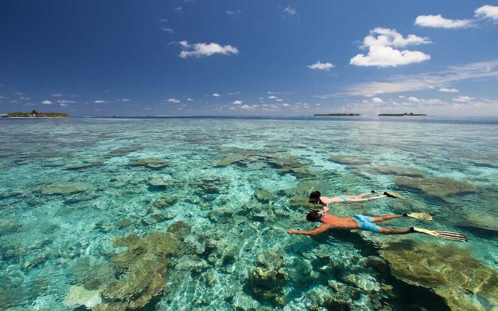 Pine Lodge Maldives - View 19