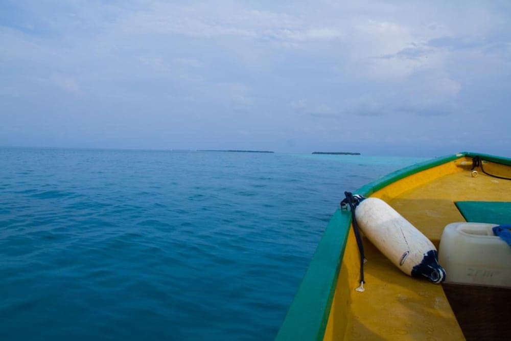 Alvi Star Inn - View 7