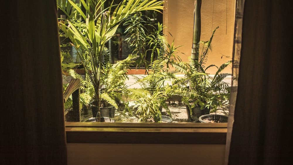 Endheri Sunset - View 23