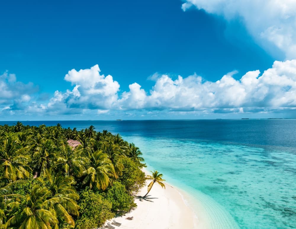 Avani+ Fares Maldives Resort - View 13