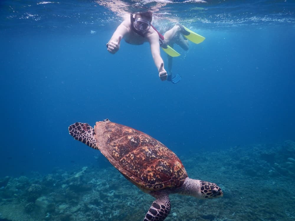 Equa Reef Maldives - View 30
