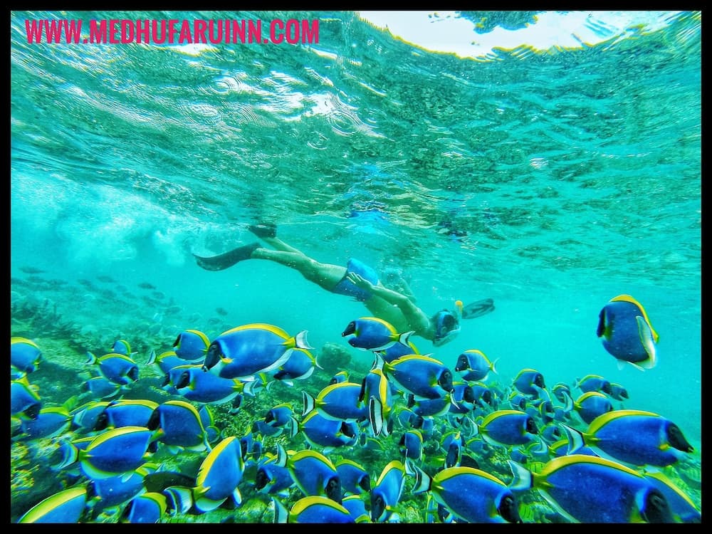 Medhufaru Inn - View 9