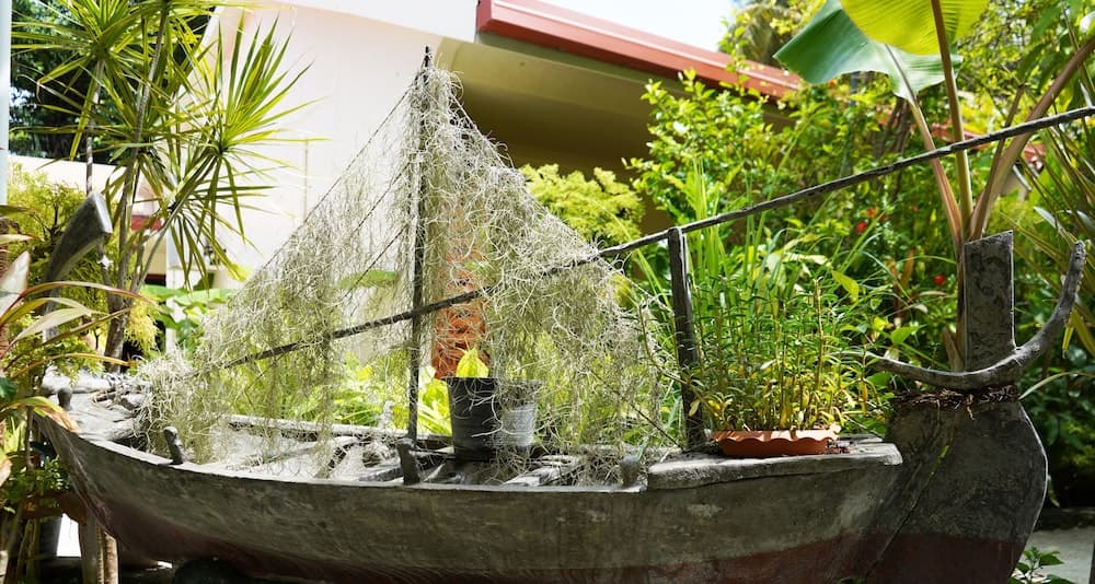 Banyan Villa Maldives - View 23