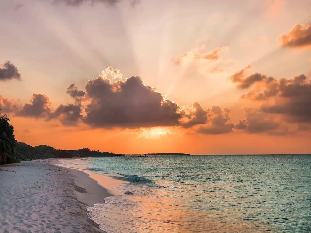 Blue Coral Vashafaru - View 31