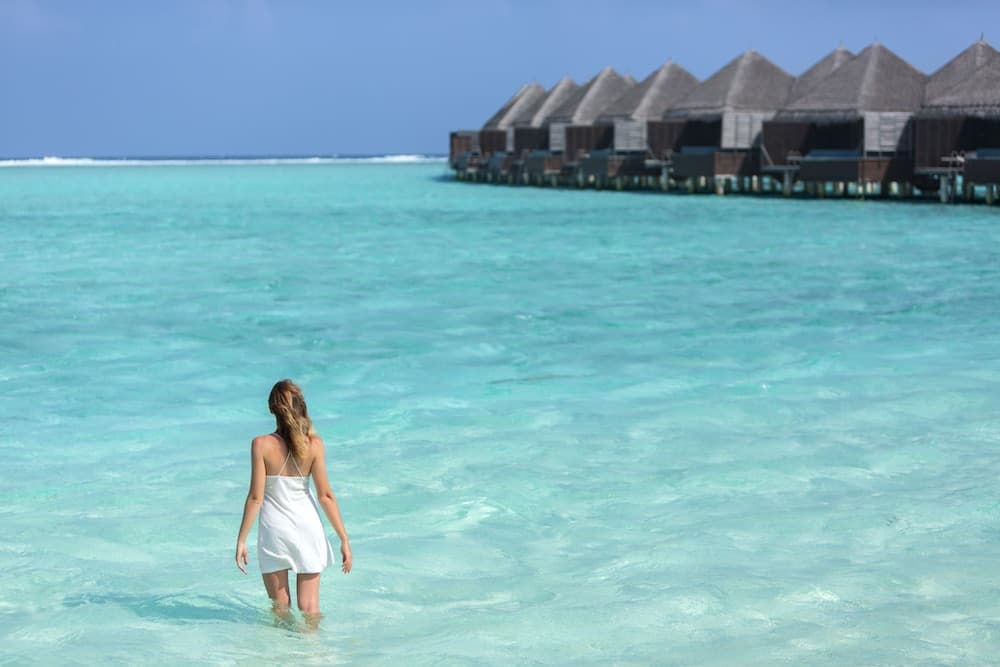 Taj Exotica Resort And Spa - View 144