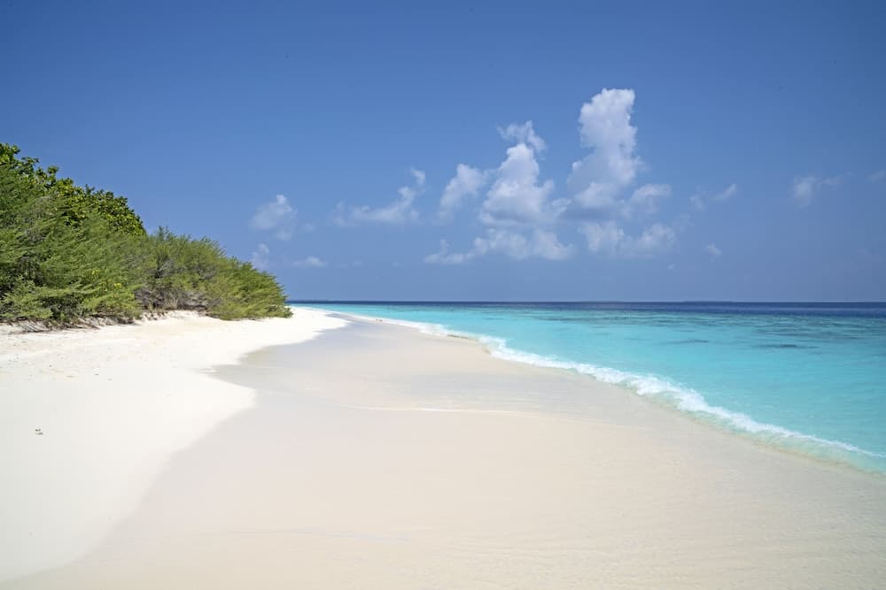 Ocean Village Maldives - View 27