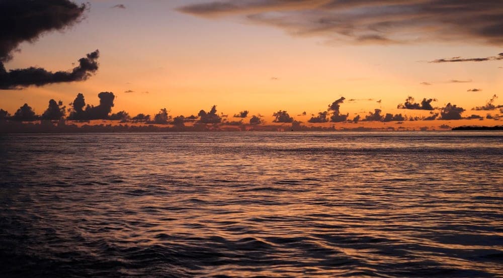 Kihaa Maldives - View 143