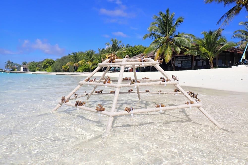 Sheraton Maldives Full Moon Resort & Spa - View 85