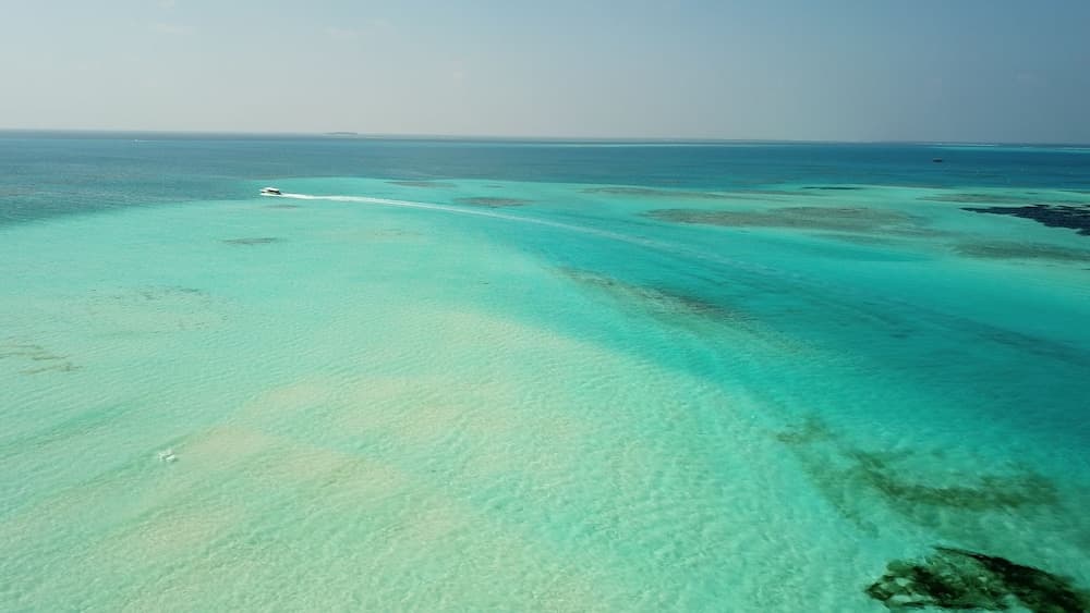 Infinity Dhiffushi - View 19