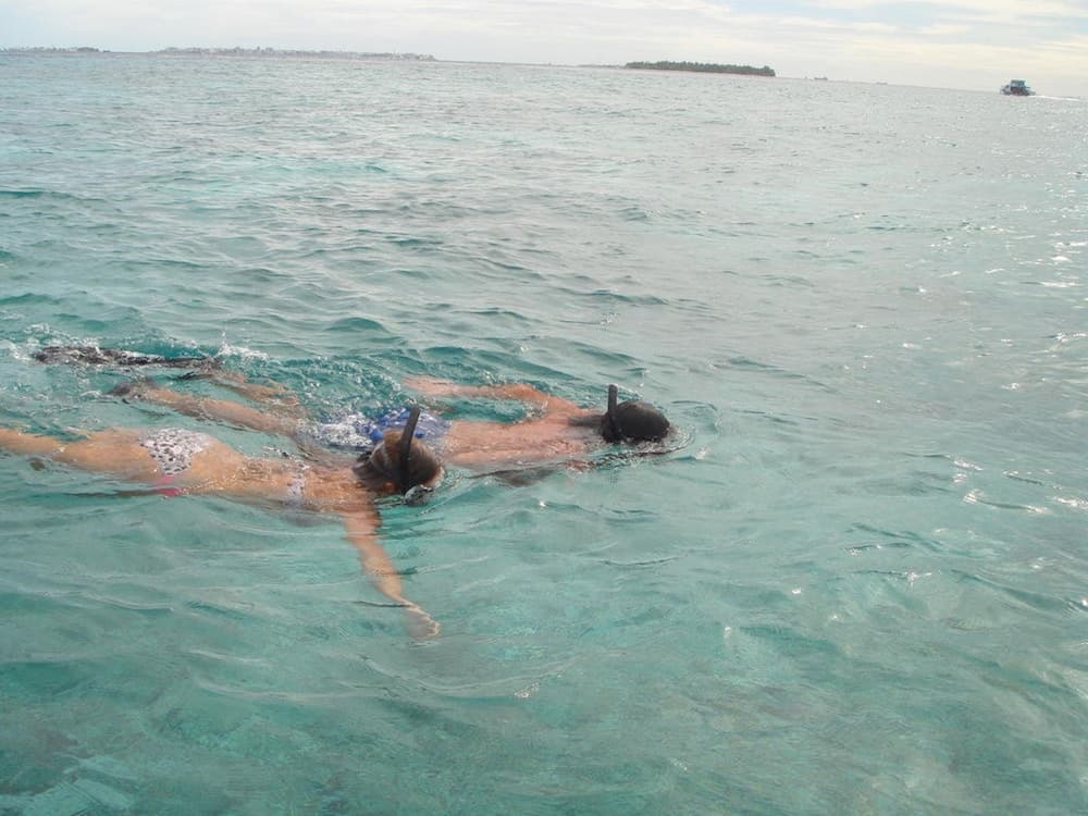 Hotel Elite Inn - View 35