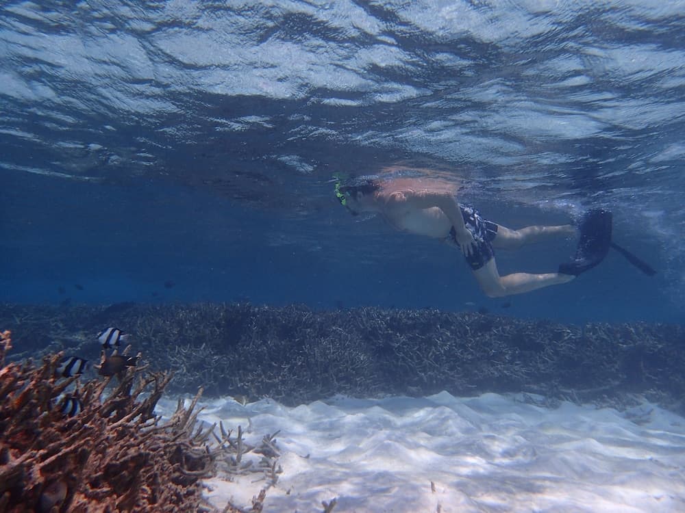 Ostrov Beach - View 74