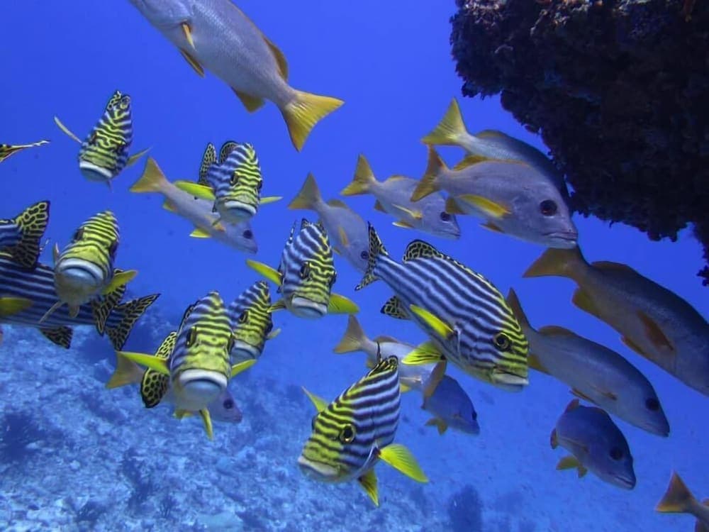 Rasdhoo Holiday Home - View 72