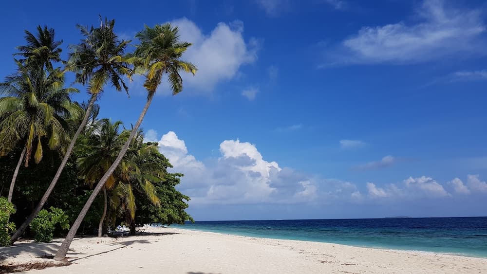 Blue World Dharavandhoo - View 4