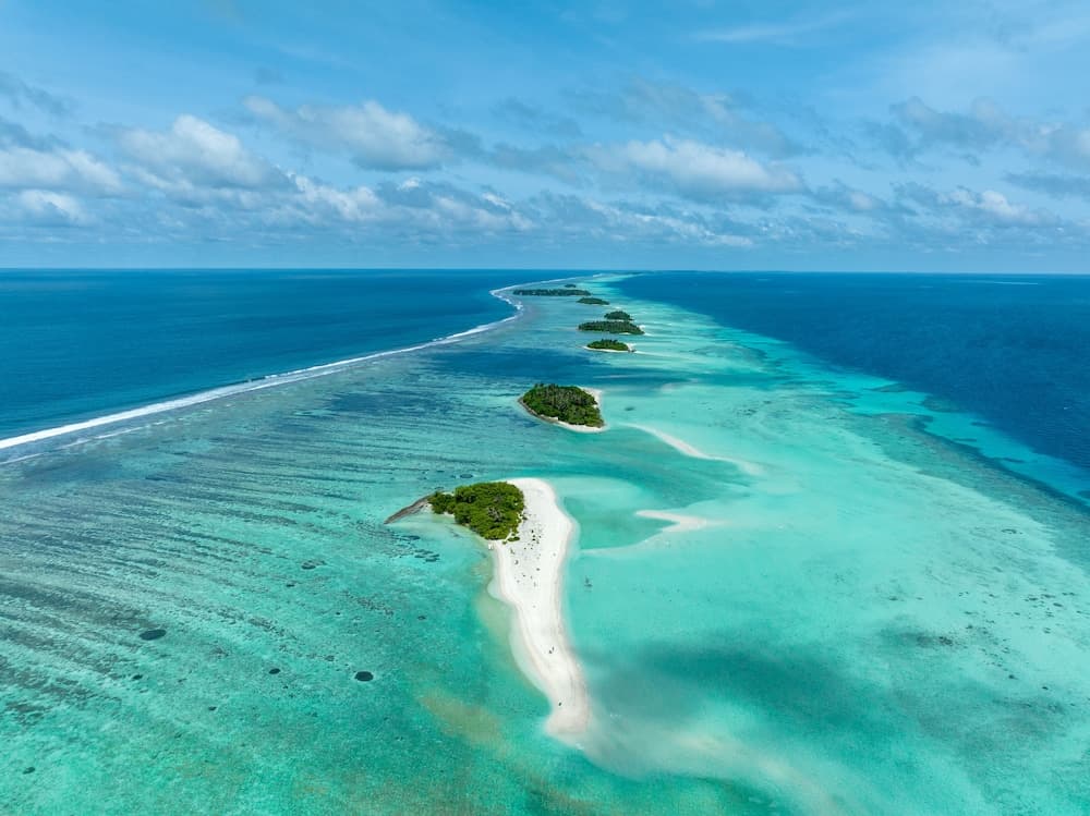 Stay Mikado - View 12