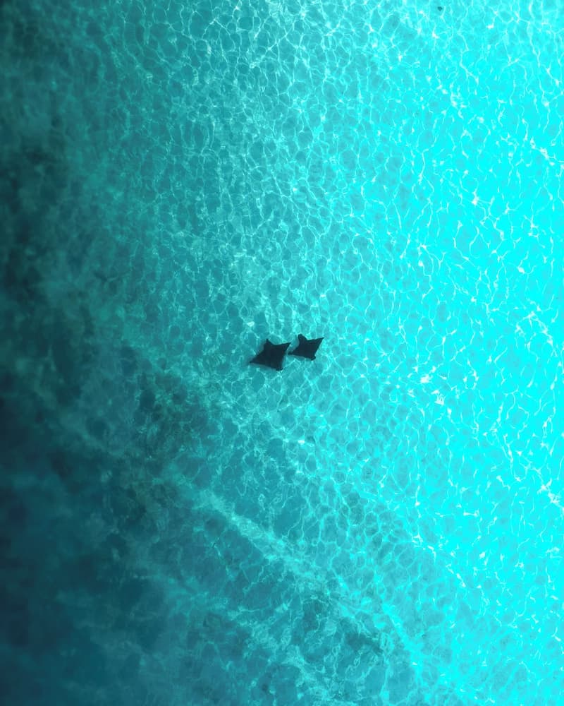 Araamu Hotels Maldives - View 93