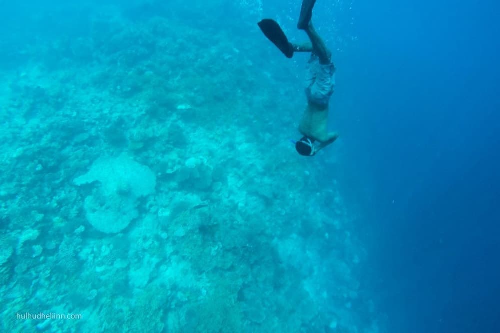 Hulhudheli Inn - View 89