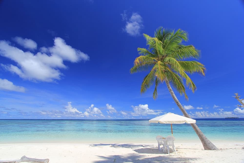 Sevinex Inn - View 31