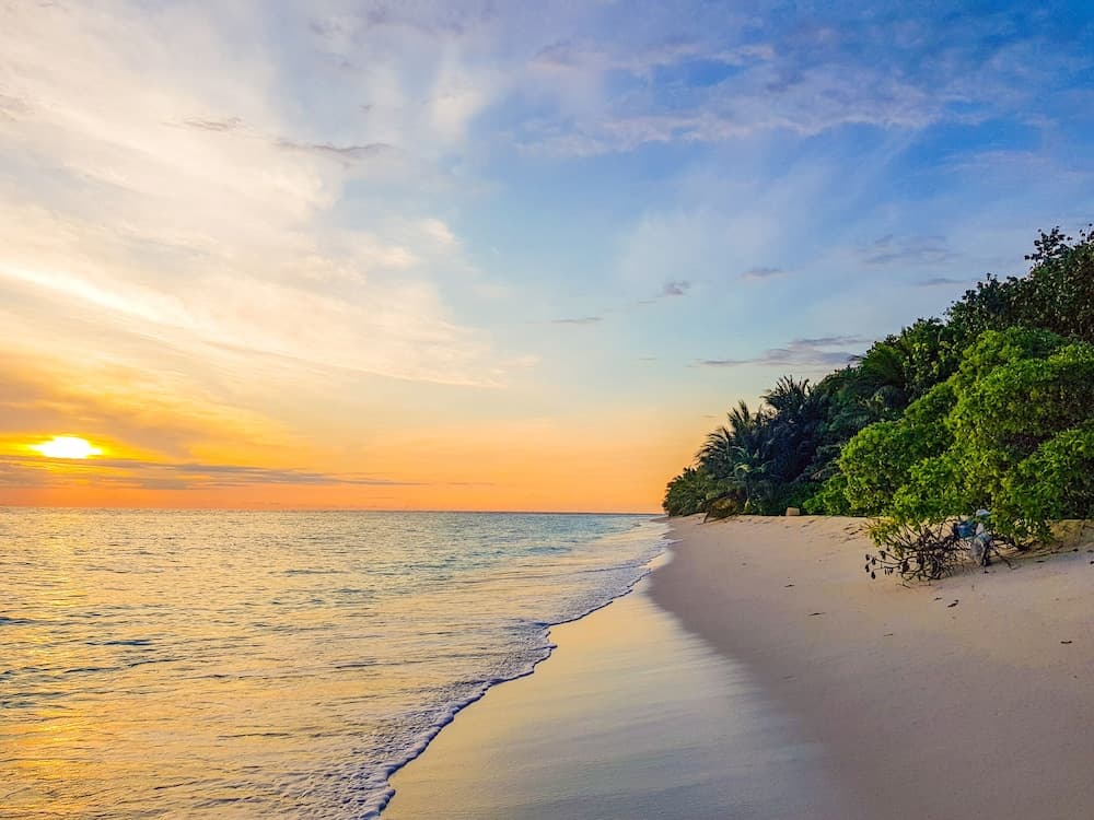 West Sands - View 65