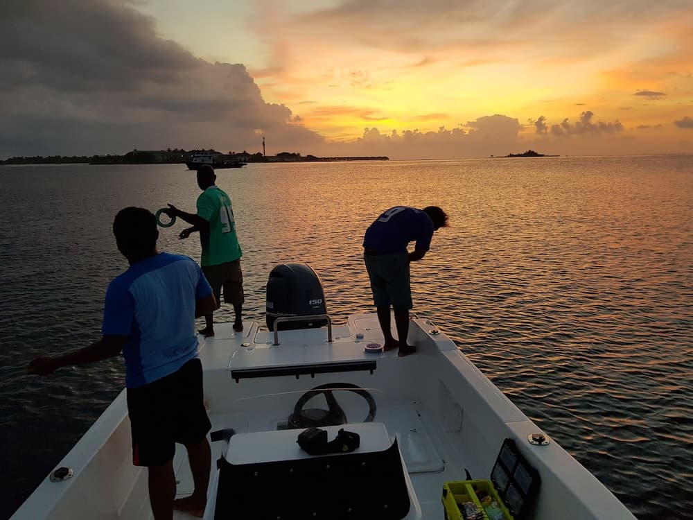 Hibiscus Holidays - View 12