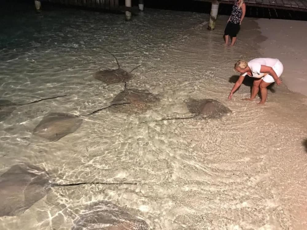 Thundi Sea View - View 31