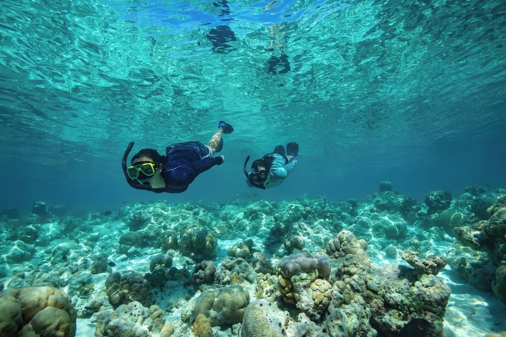 Sirru Fen Fushi Private Lagoon Resort - View 32