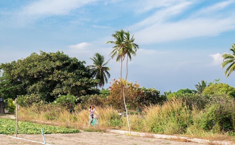 Olive Goidhoo - View 47