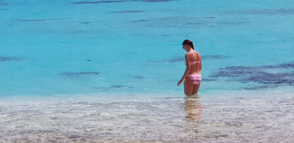 Equa Reef Maldives - View 81