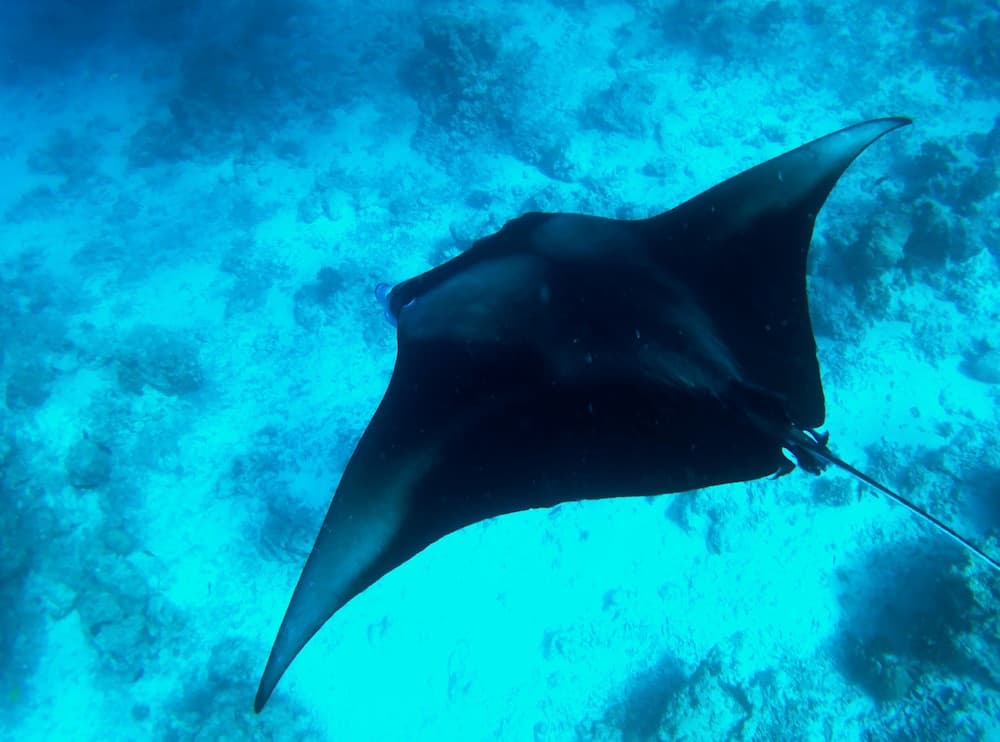 Adroit Beach Inn - View 155