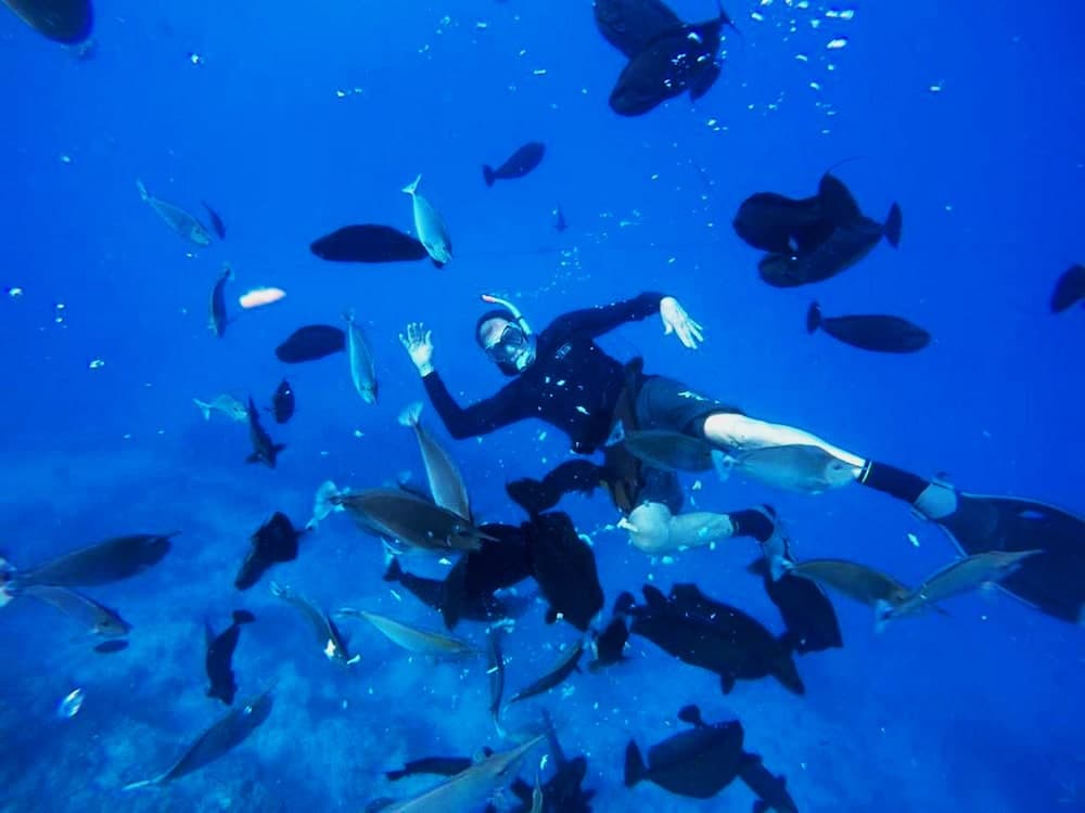 Adroit Beach Inn - View 195