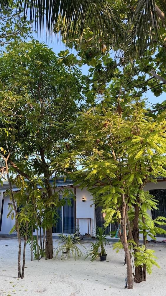 Navaya Dhiffushi - View 19