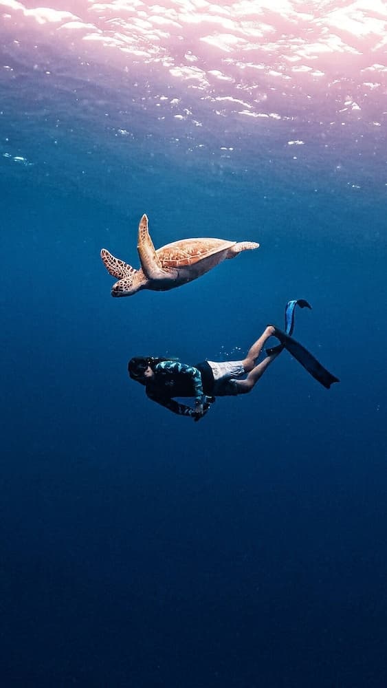 Sands Grand Hotel - View 52