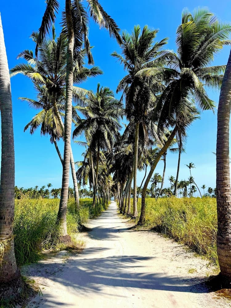 Sands Garden Hotel - View 52