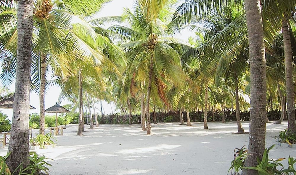 Nazaki Beach Hotel & Spa Maldives - View 15