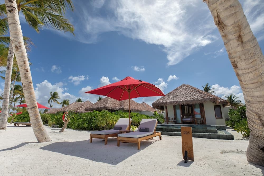 Hotel Whale Lagoon Maldives - View 84